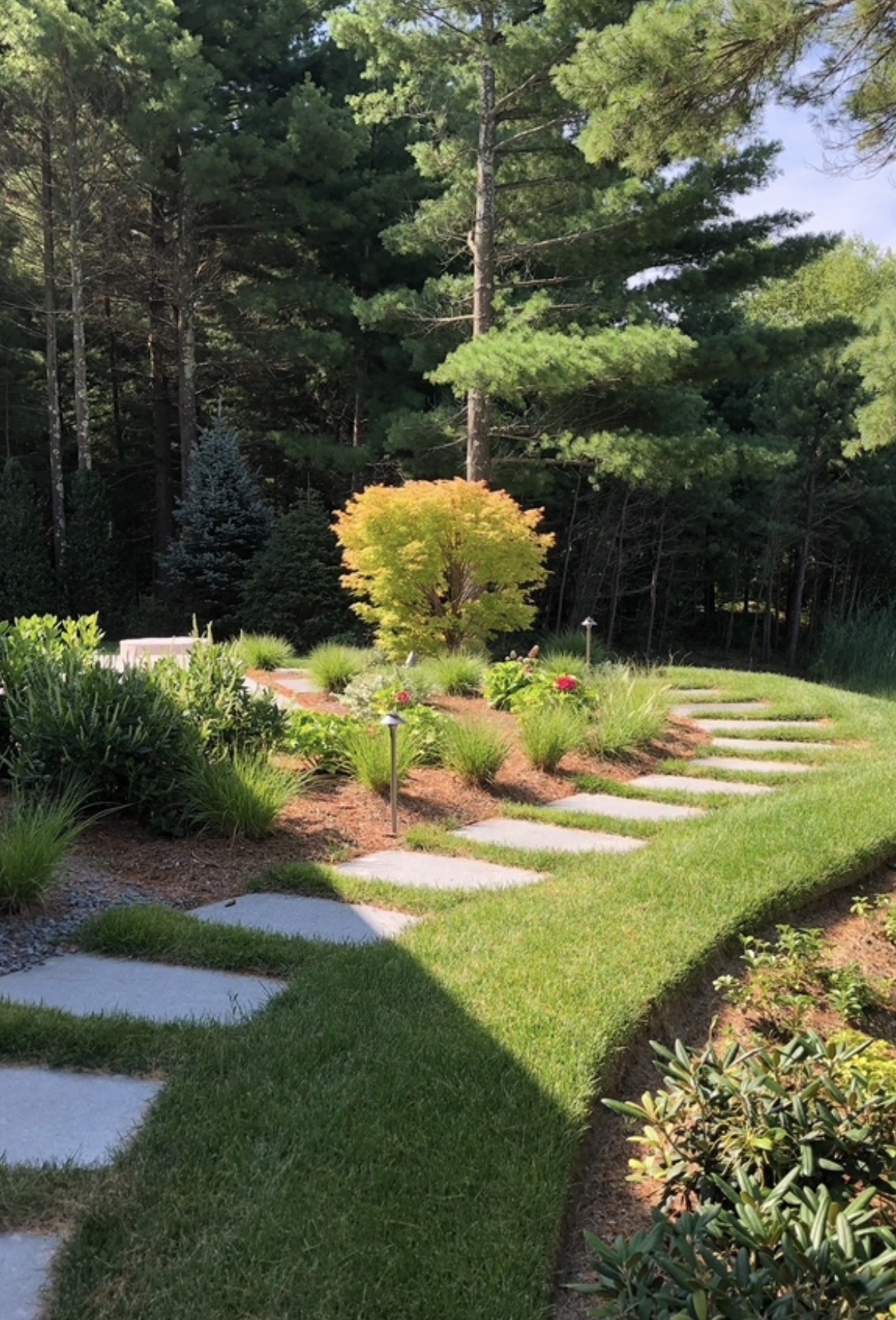 Bluestone stepping stones winding through layered perennial beds and ornamental grasses beneath towering pines