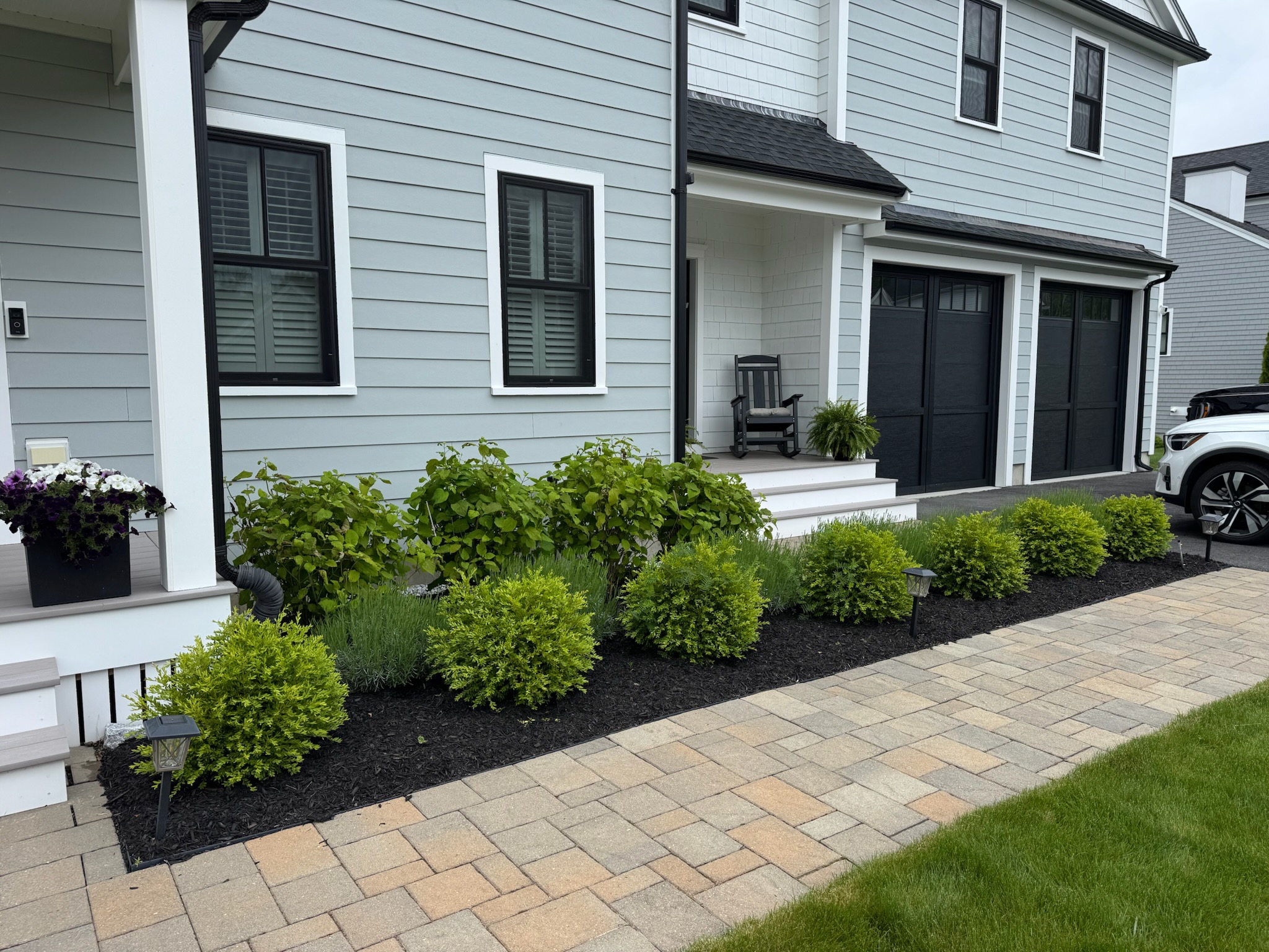 Clean foundation plantings with boxwood and hydrangeas along a modern gray home